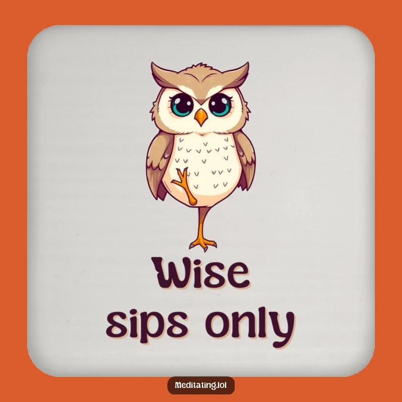 Funny Determined Owl Balance Coaster - Protect with Poise